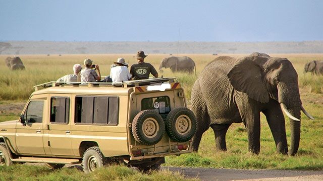 5 Facts About Serengeti National Parks