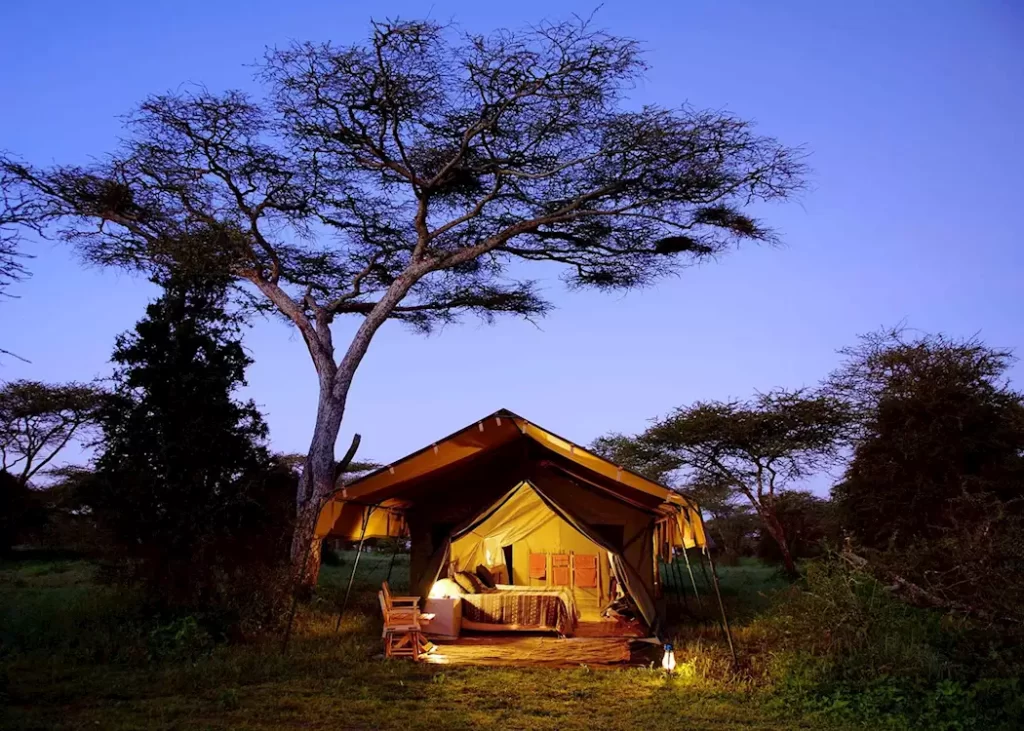 341335 nomad serengeti safari camp