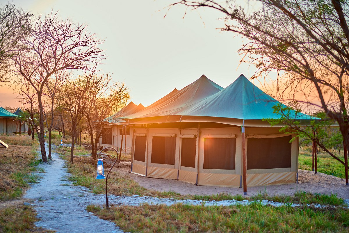 Awali Serengeti camp