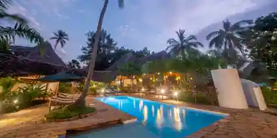 compressjpgcopia di  1307