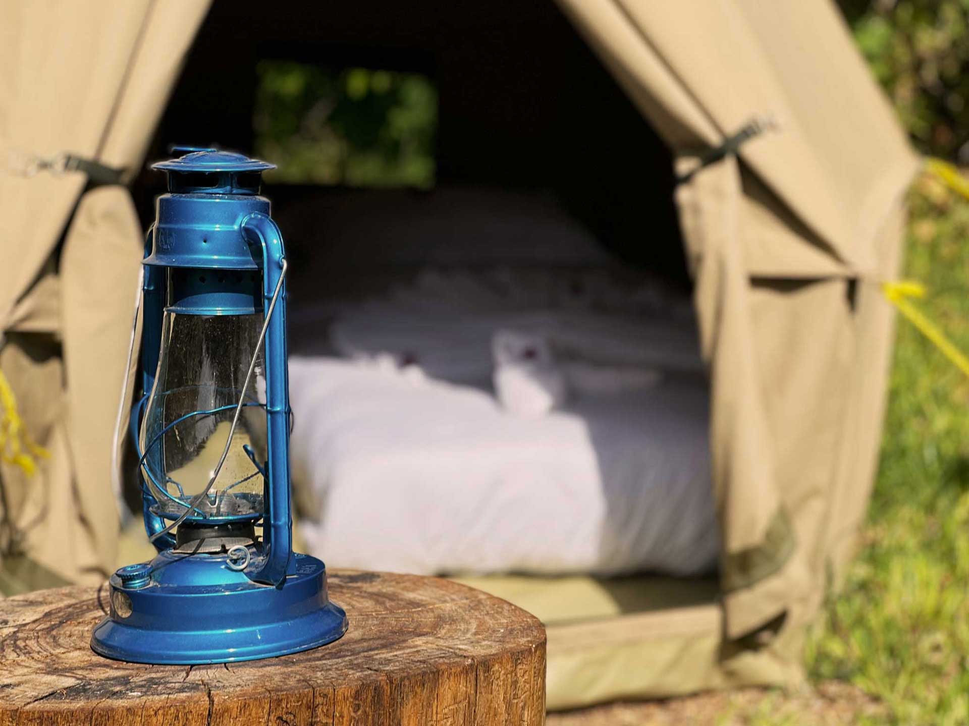 jungle resort campsite 6