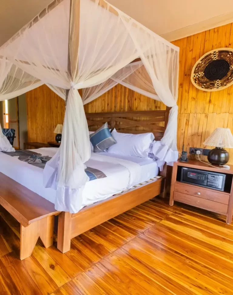 safari haven 11 1 e1731339942285
