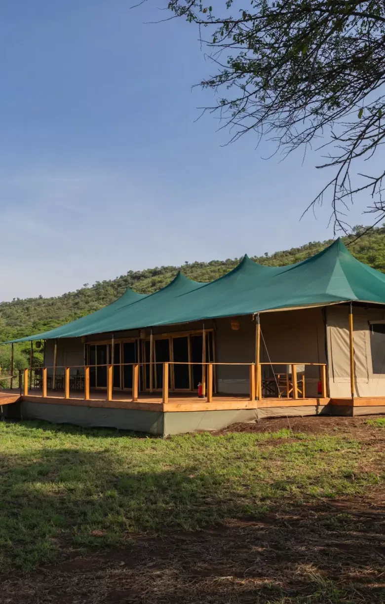 safari haven 14 1 e1731340245930