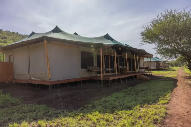 safari haven 15