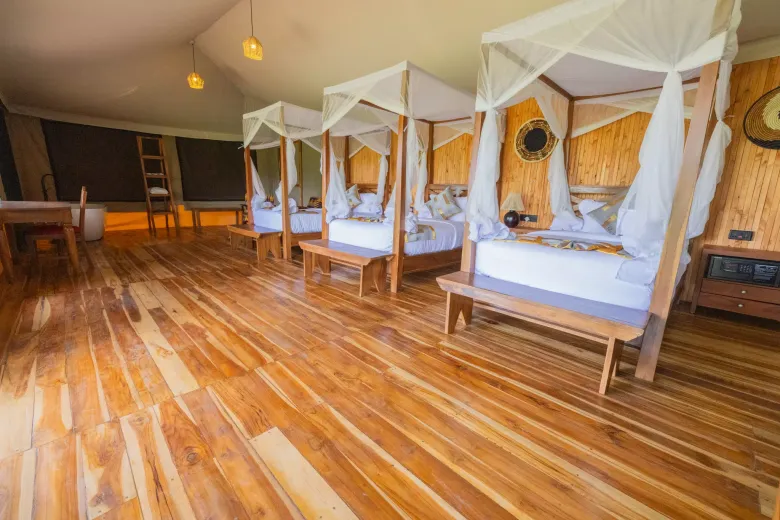 safari haven 3
