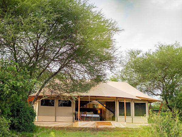 tarangire camp booking 1