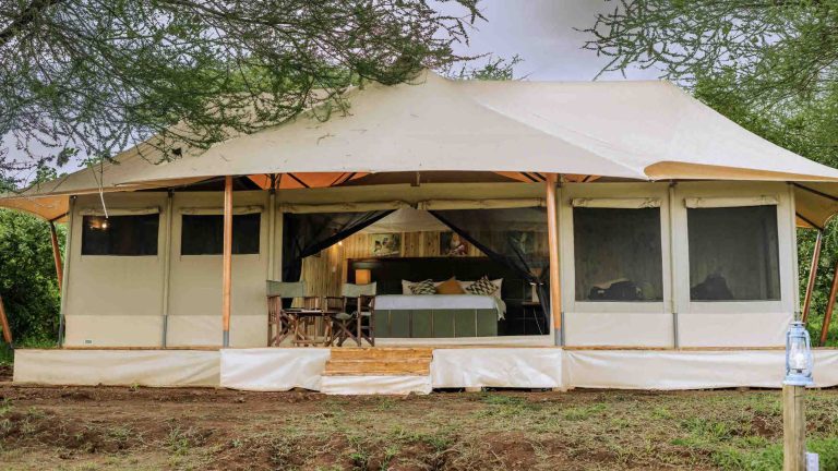 angata tarangire 1 1 1024x575