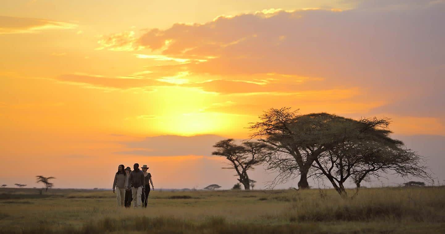 bush walk serengeti national park