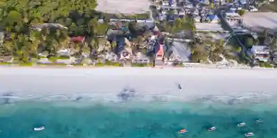 compressjpgcopia di  1238