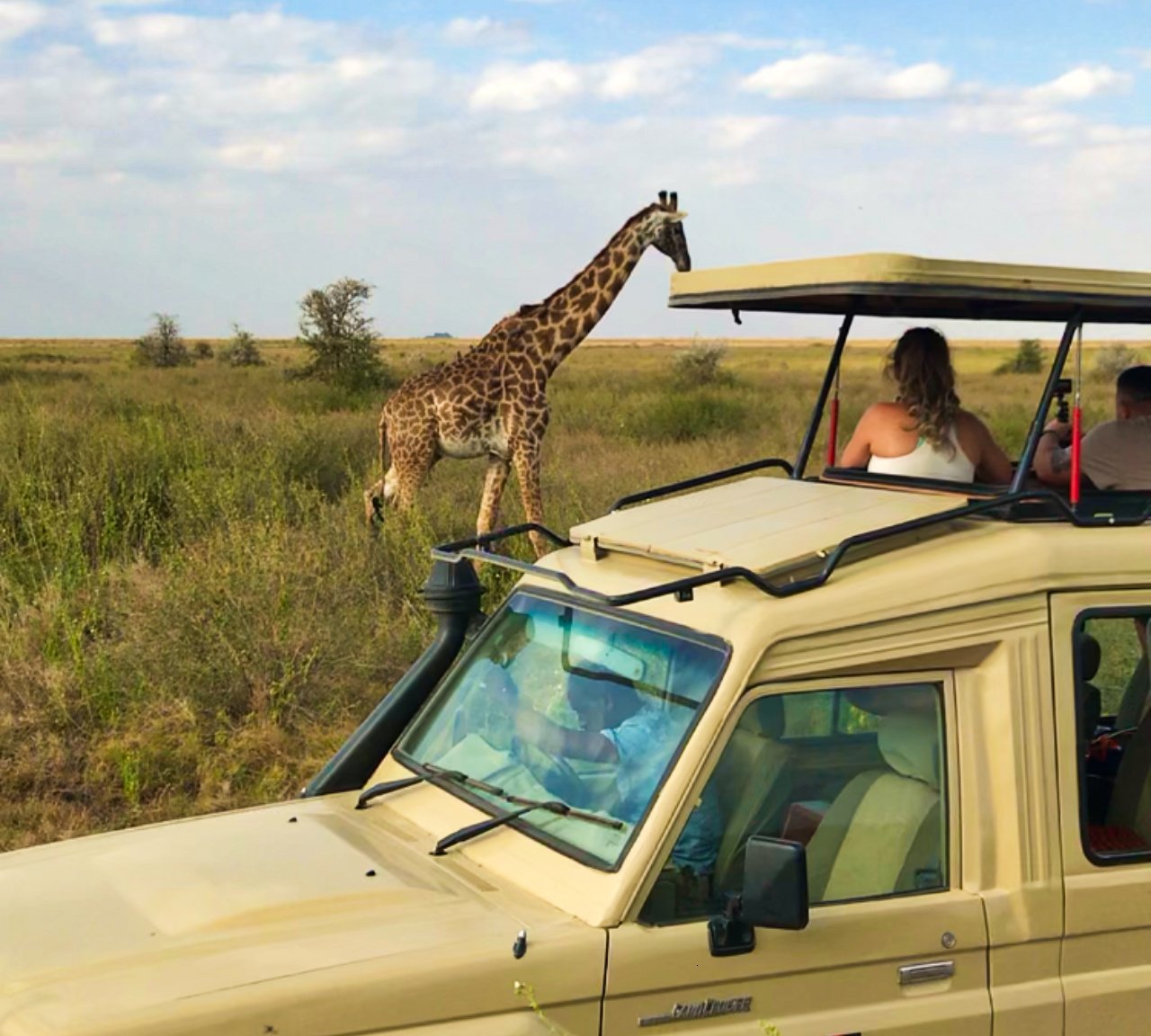 Land Cruiser next to the giraffes Serengeti National Park Tanzania Experiencing the Globe