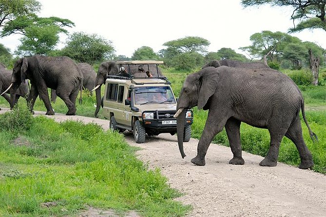 Morning Game Drives in Tarangire National Parksa