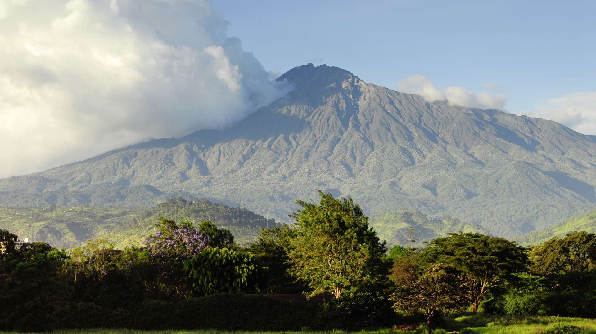 Arrival in Arusha