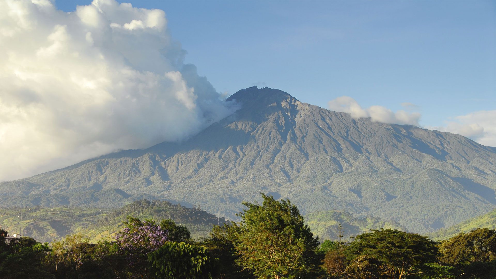Arusha and Departure