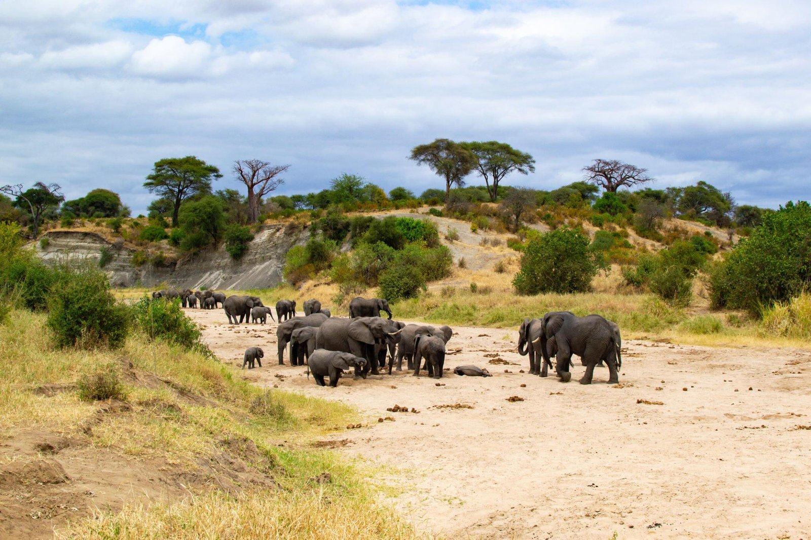 Arusha to Tarangire