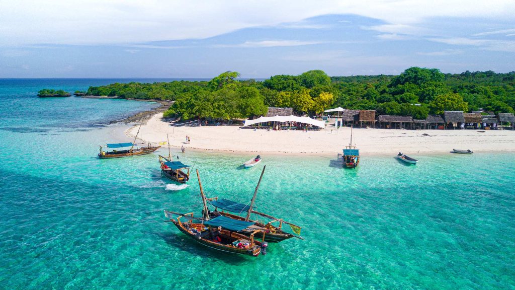 Beach and Safari Nyerere to Zanzibar Island