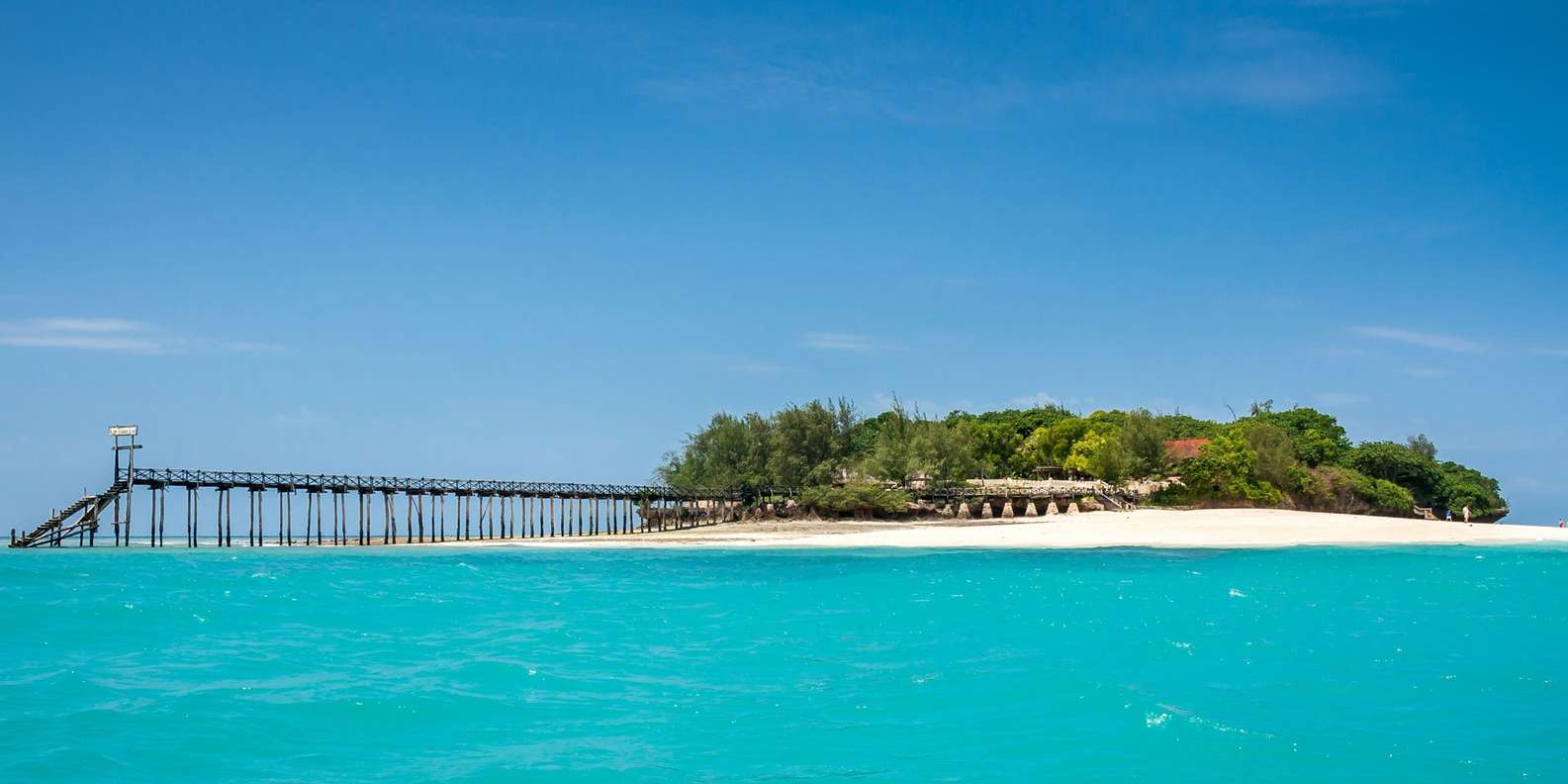 Exploring Stone Town, Prison Island and Spice Tour in Zanzibar
