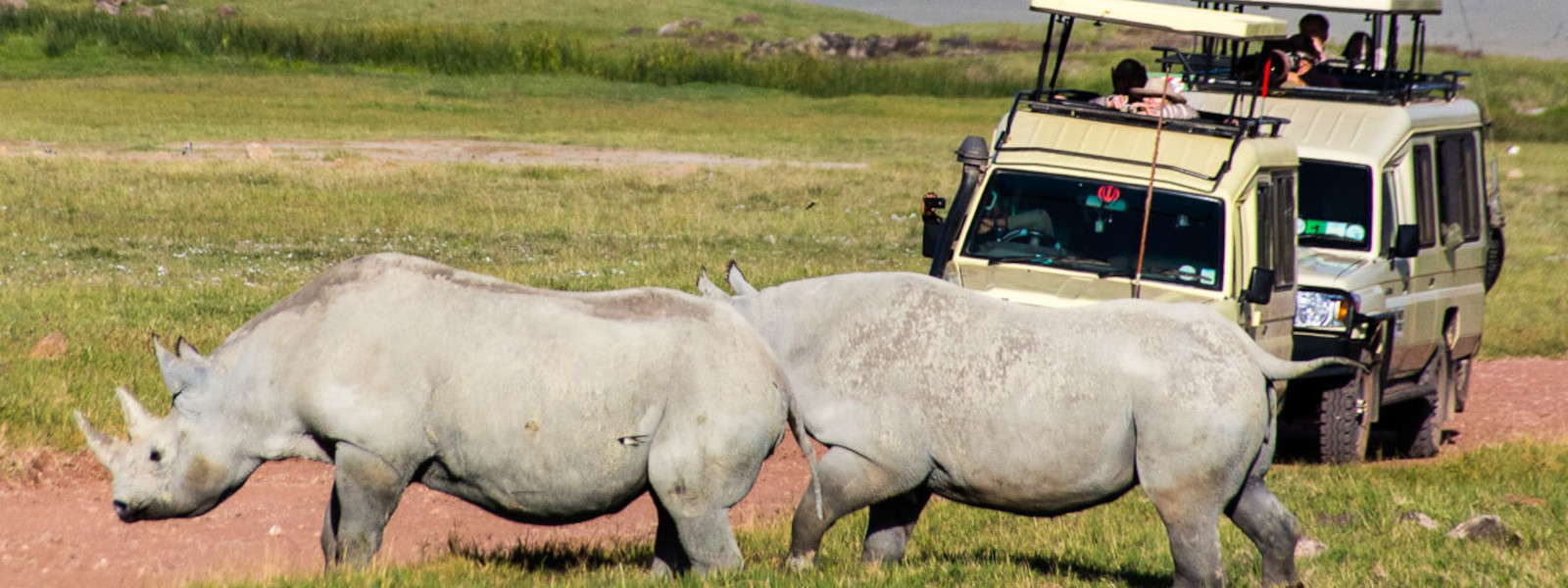 Game drive in Ngorongoro Crater