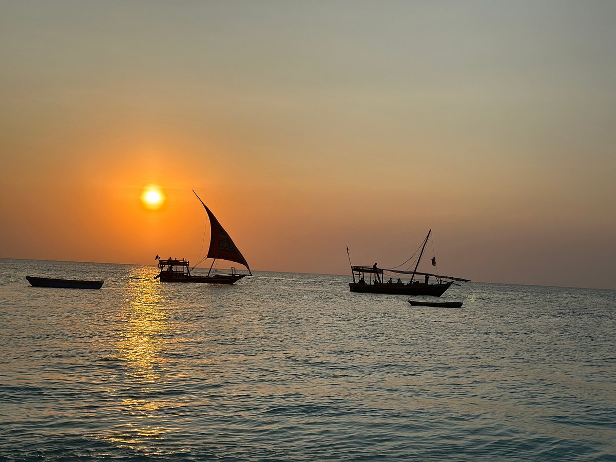 Jozani Forest and sunset cruise (sharing boat) in Zanzibar