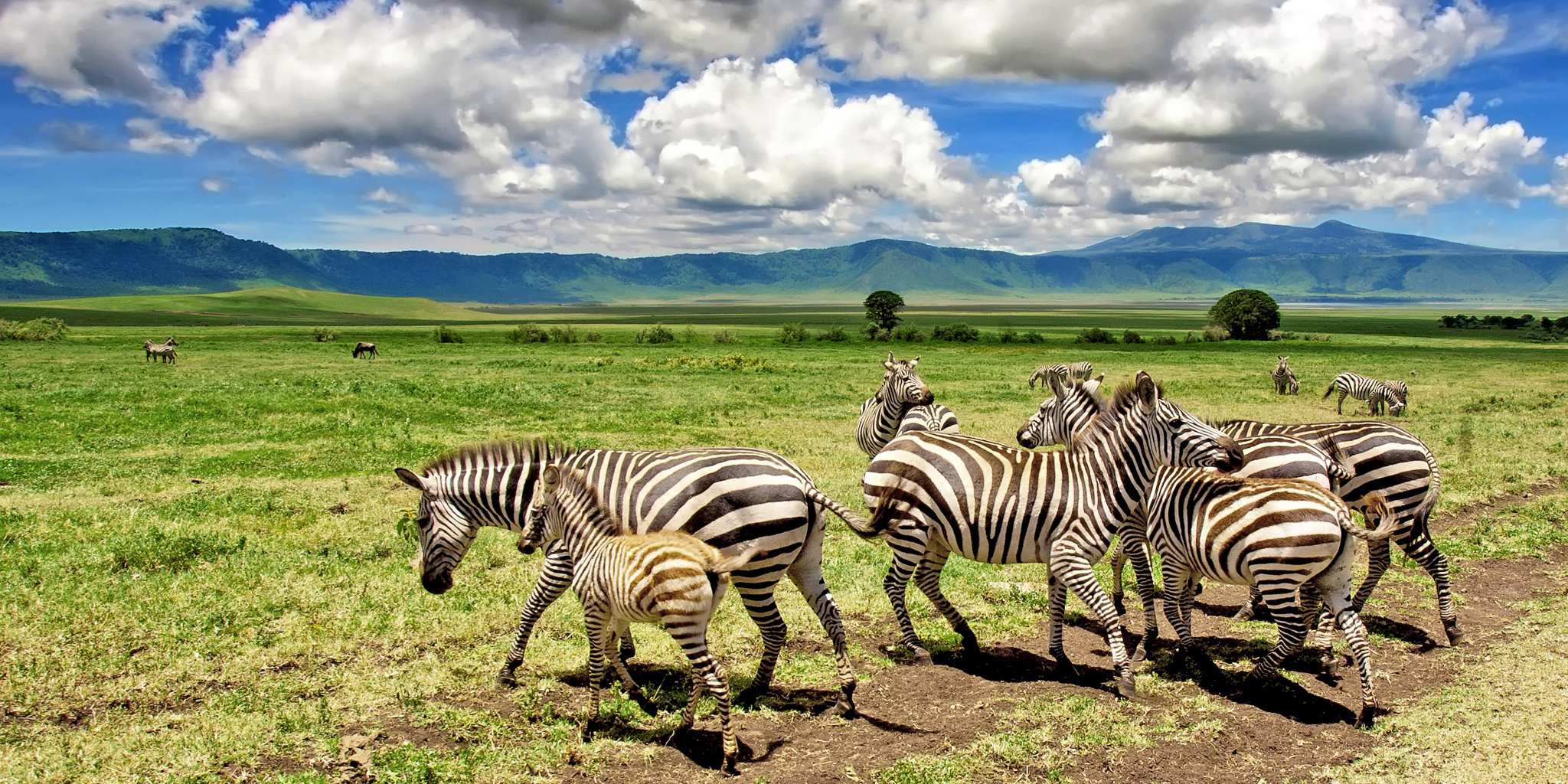 Karatu to Ngorongoro Crater
