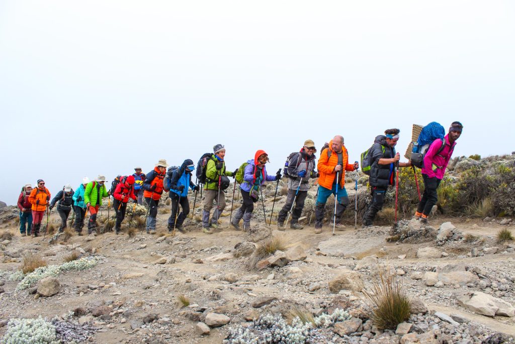 Kilimanjaro Hiking