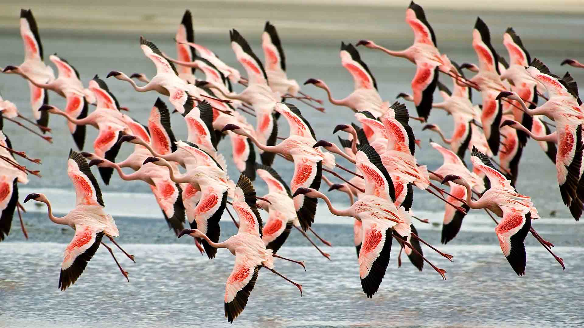 Lake Manyara National Park