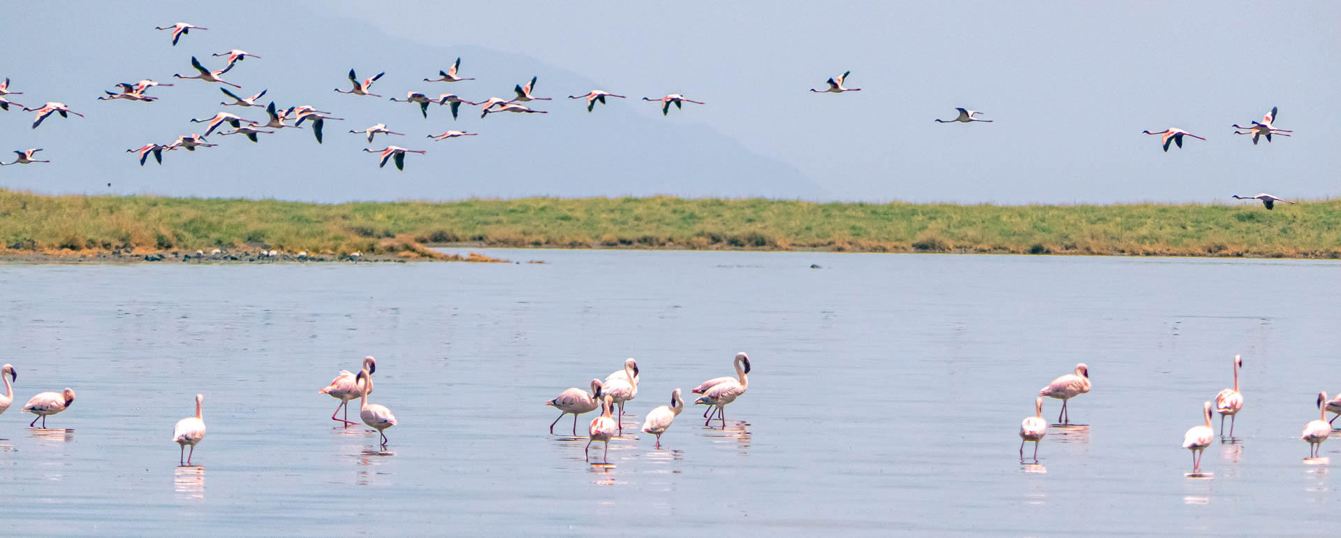 lake natron 2