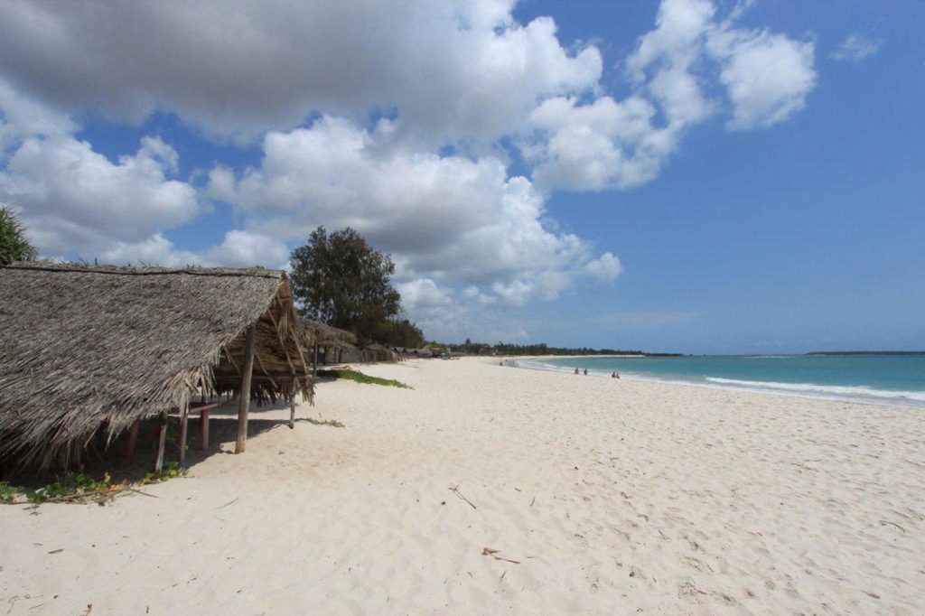 Morning Game Drive then Drive