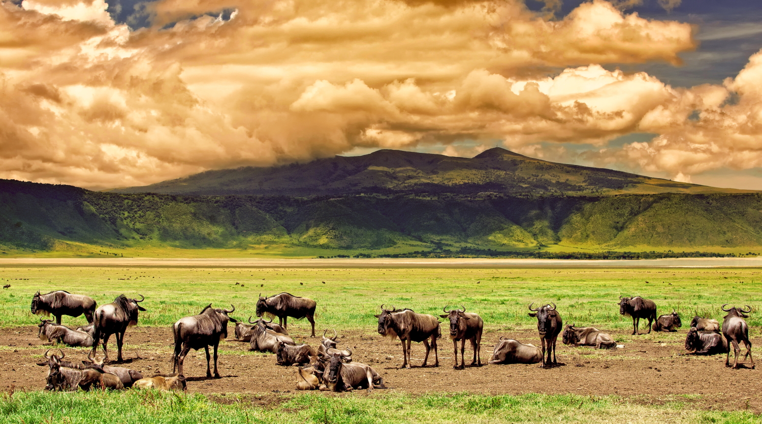 Ngorongoro Crater to Zanzibar