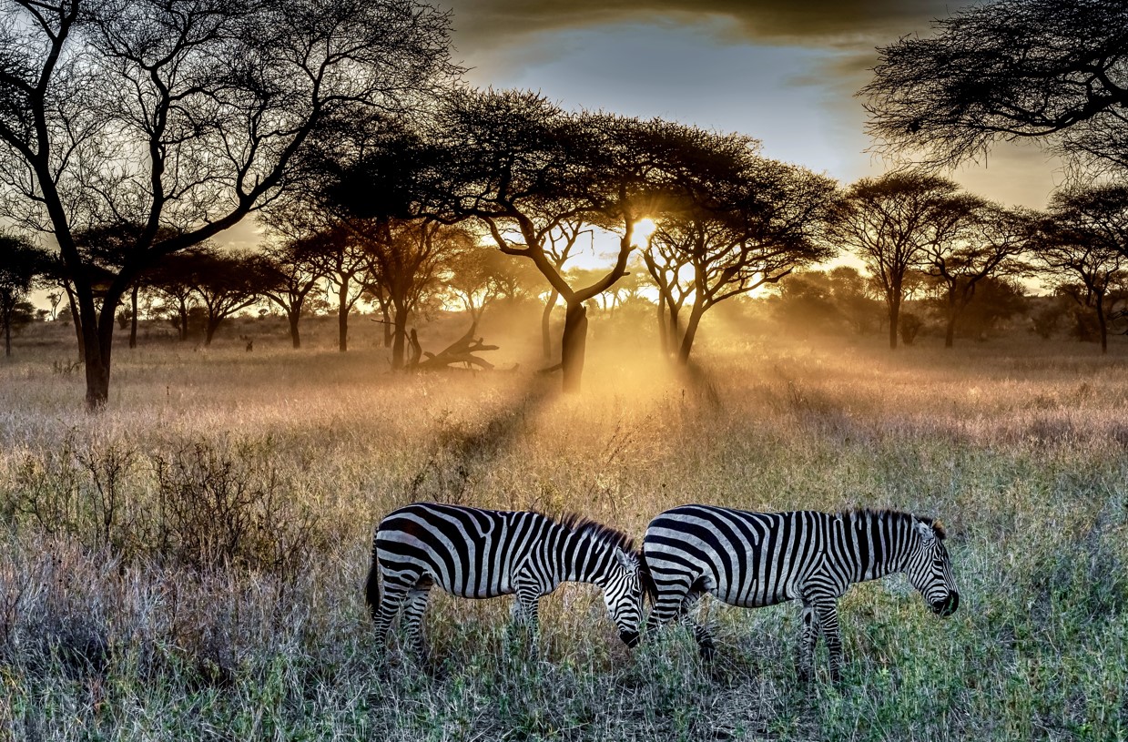 Serengeti National Park ..