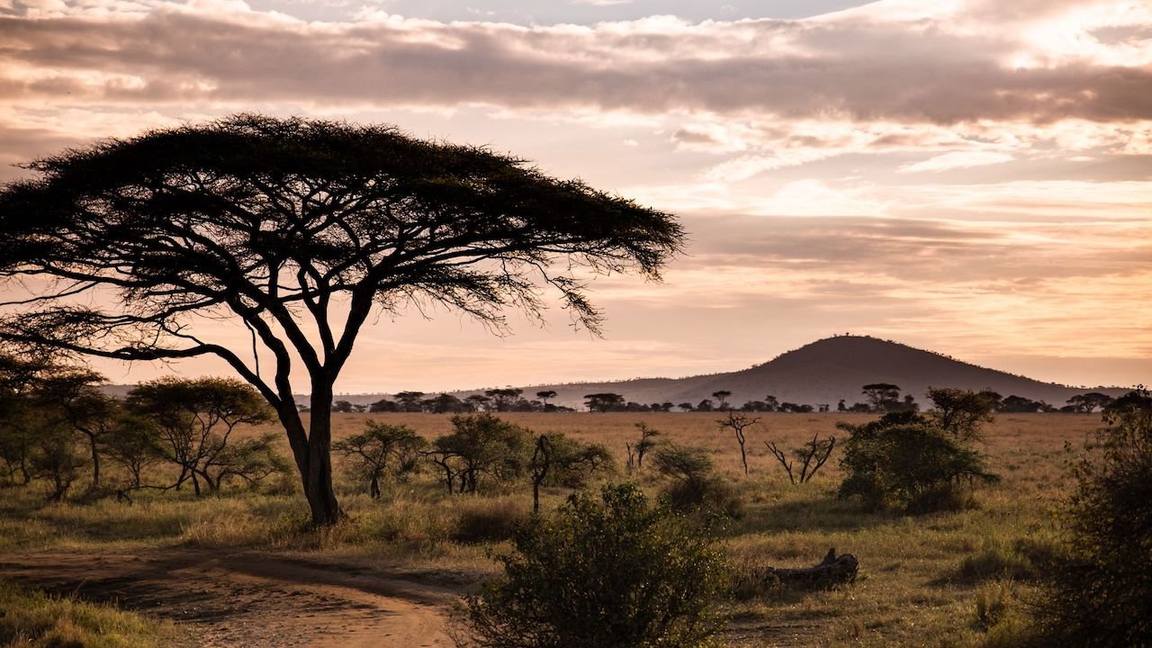 Serengeti National Park..