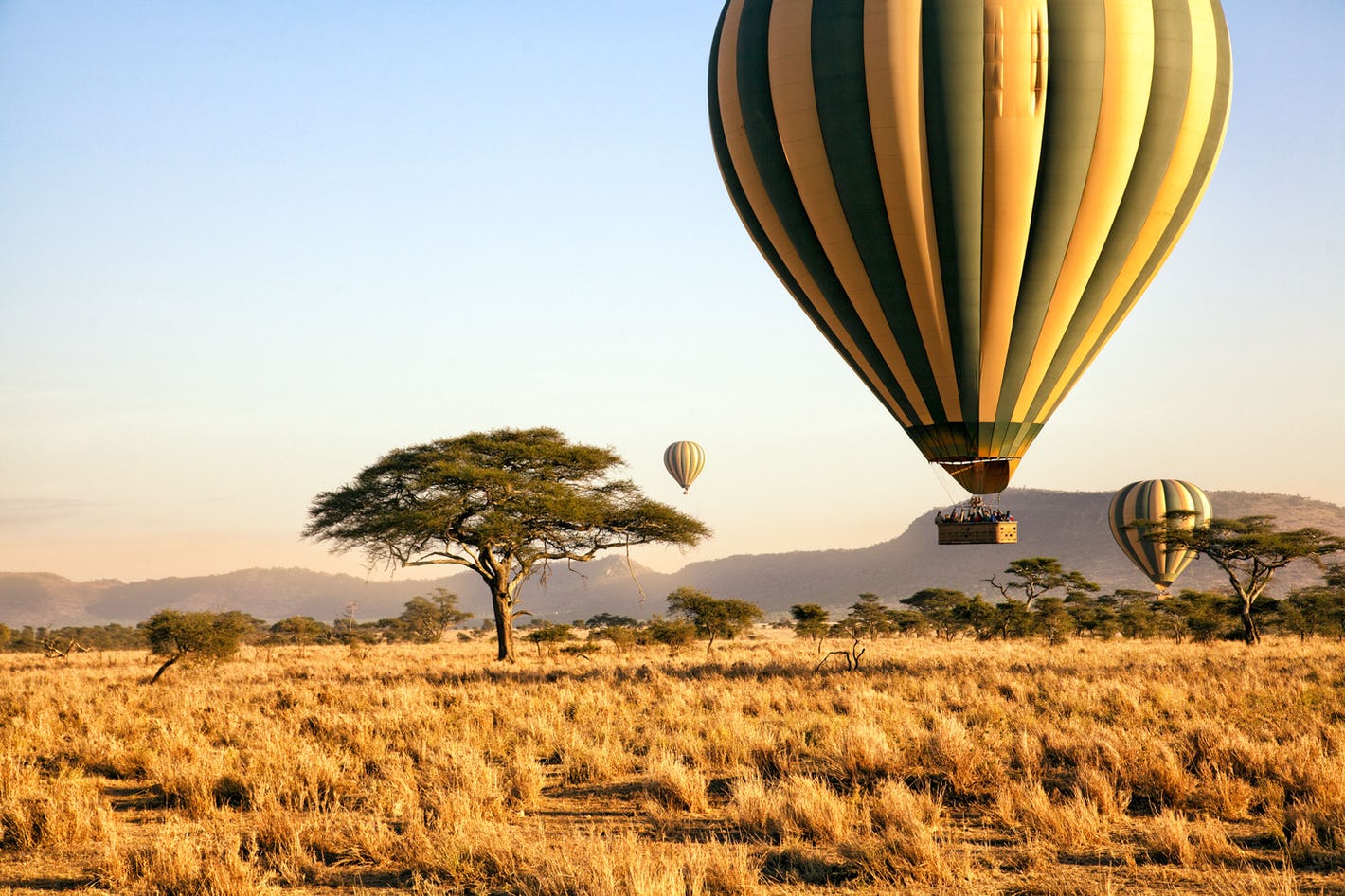 Serengeti National Park...