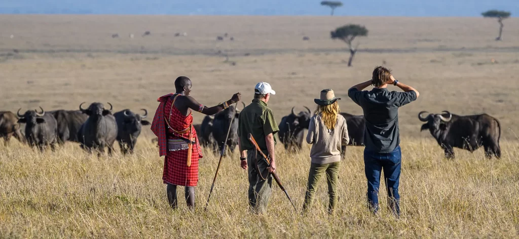 Walking Safari