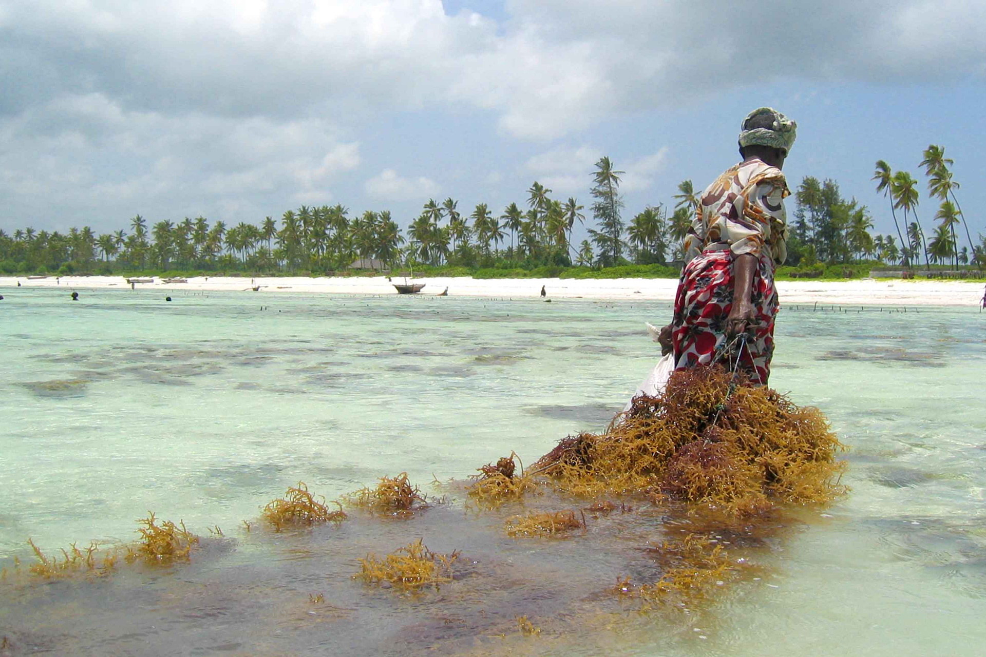 zanzibar (16)
