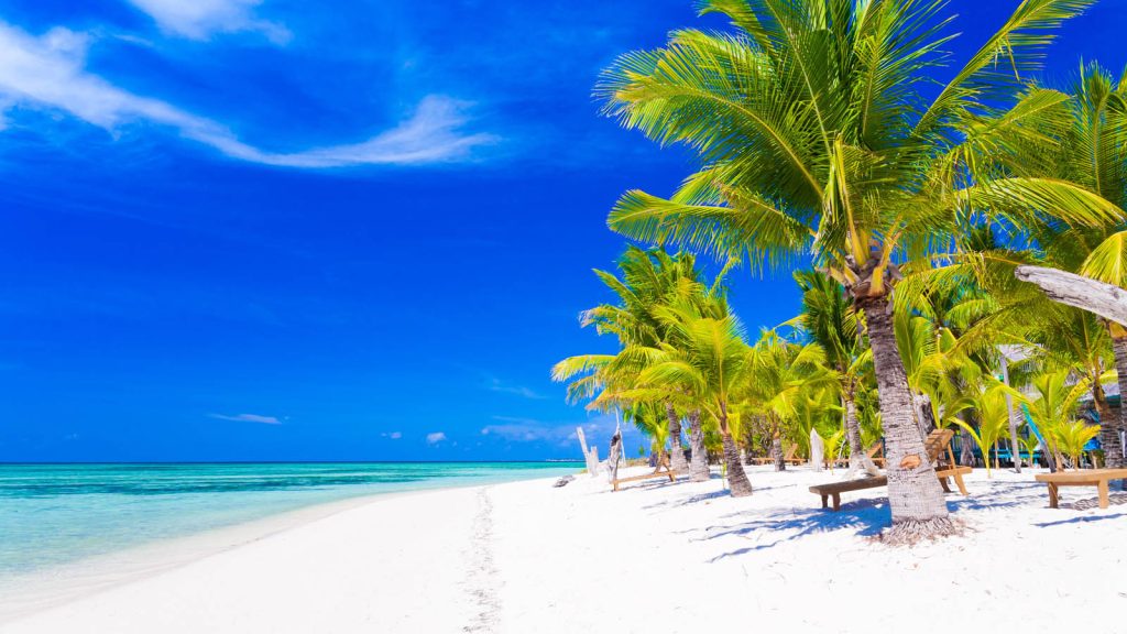 Zanzibar Beach & Tanzania Safari combo package