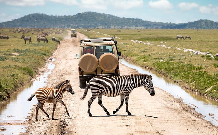 Serengeti National Park 725x450